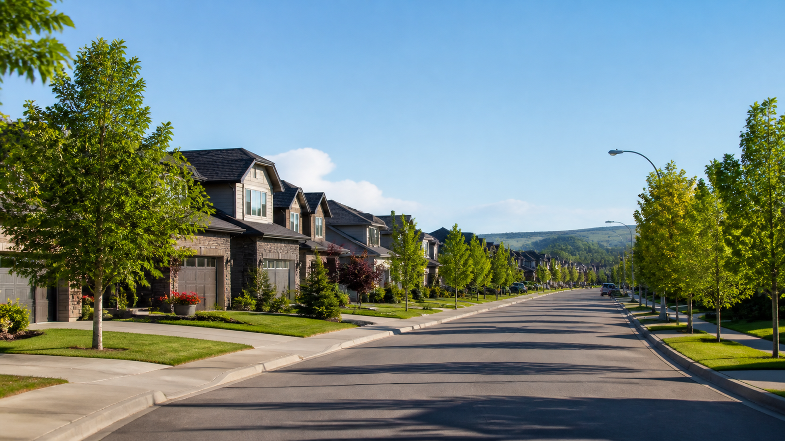 Tree-lined residential street in Calgary